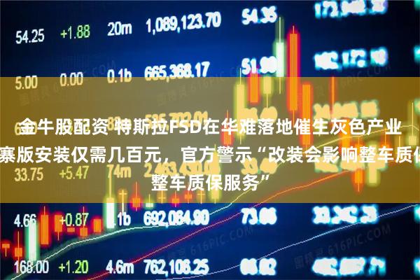 金牛股配资 特斯拉FSD在华难落地催生灰色产业链：山寨版安装仅需几百元，官方警示“改装会影响整车质保服务”