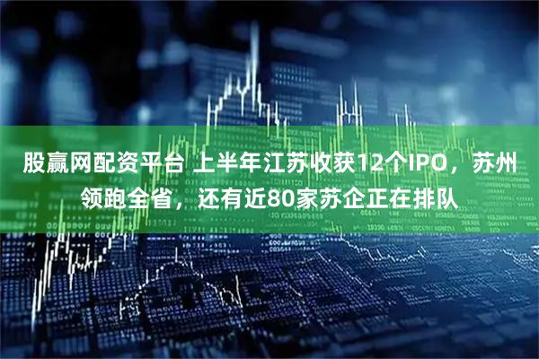 股赢网配资平台 上半年江苏收获12个IPO，苏州领跑全省，还有近80家苏企正在排队